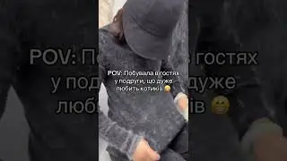 Мохнатка🤣😻
