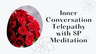 Talk to Your SP TELEPATHICALLY Meditation ✨ │ law of assumption