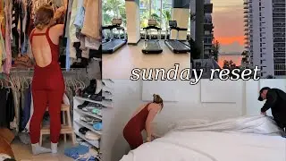 SUNDAY RESET productive day in my life, cleaning my apartment, + getting sh*t done!!
