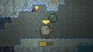 The Fur Heist