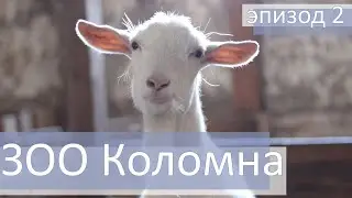 В сторону юга России 2021. ЗОО Коломна. Эпизод второй.