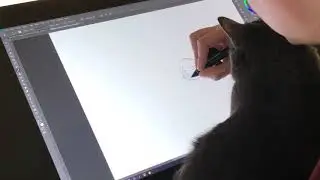 Kepler and I drawing together