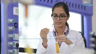 Admission Open 2024-2025 | SGT University