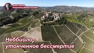 Неббиоло - утонченное бессмертие