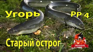 Русская рыбалка 4. Угорь. Старый острог.