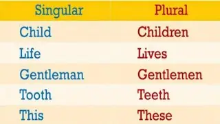Singular से Plural कैसे बनाते हैं? आप हैरान रह जाओगे ! The Noun: Singular to Plural Number