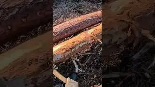 как звучит старинный топор!