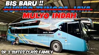 GEBRAKAN BARU PRIBUMI SOLO !! BORONG UNIT STJ