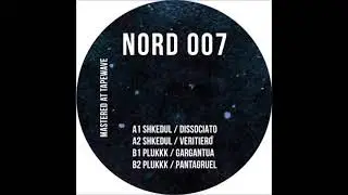 Plukkk - Pantagruel (Original Mix)