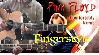 Comfortably Numb-Pink Floyd-Fingerstyle cover
