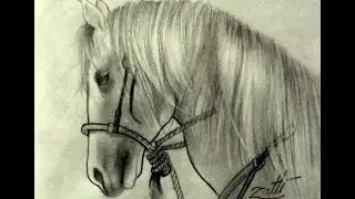 COMO DESENHAR UM CAVALO