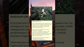 История выживания: выброшенный на смерть.