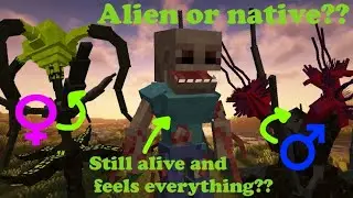 The BAFFLING lore of Scape and Run (THEORY)