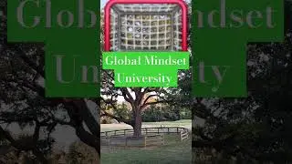 Amharic Personal Development ##habbitsforsuccess ##habesha #