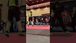 Perfectly Timed Point Fighting Spinning Kick 