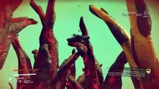 Ship Get's Stuck - No Man's Sky