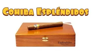 COHIBA ESPLENDIDOS Cuban Cigar Unboxing Cohiba Churchill