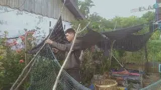 Bersihin pagar kolam ikan malah dapat singkong