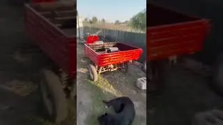 Муравей 2М после реставрации