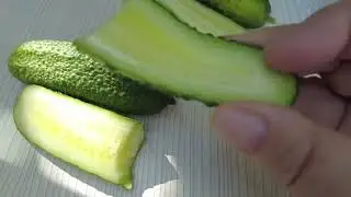 Наблюдаю за огурцами молодцами