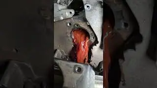 Seat 2.0 Water pump