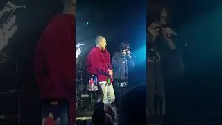 Молодость внутри, DenDerty - Горе (концерт)