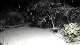 snowing.MOV