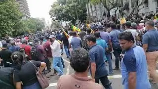 #shortfeed# #srilanka #gotagohome #aragalaya #video Of Sri Lanka Protestors Through, gall face