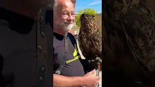 Soft owl touch #deutschland  #germany #medieval