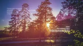 Поселок Прибрежный Самарская область