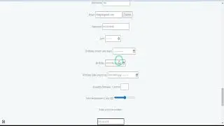 input type HTML