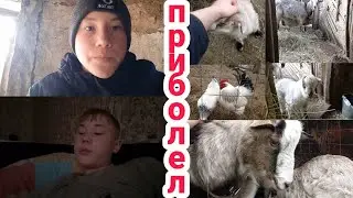 VLOG ПРИБОЛЕЛ !!! НАДЕЮСЬ НЕ НАДОЛГО