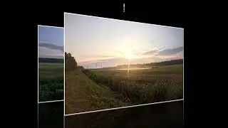 Красивое утро с мухой