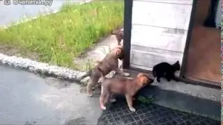 Очепятки.ру