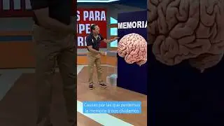 Causas por las que perdemos la memoria o nos olvidamos 