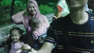 Sea World Ancol | Melihat Aneka Biota Bawah Laut di Taman Impian Jaya Ancol Jakarta