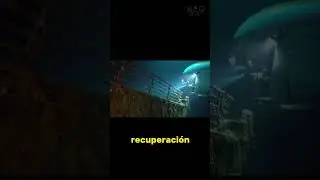 Estas son las  RAZONES detrás del ETERNO descanso en las PROFUNDIDADES  😱 #shorts