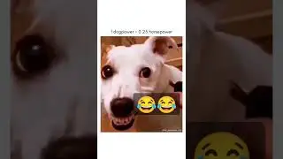 🤣🤣 Funny #shorts