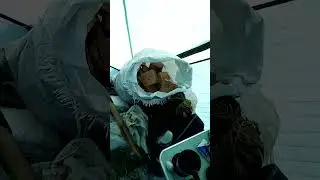 рыбалка на амуре