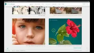 מבחן פוטושופ 8 שאלות למתחילים
