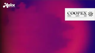 Coopex - Girl Like Me (Visualizer) [Helix Records]