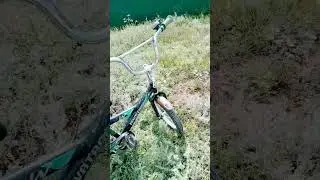 28 июля 2024 г.