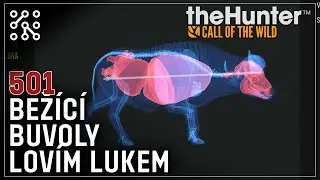 Úkoly na Savana Vurhonga | theHunter: Call of the wild CZ |  Česky