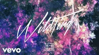 11:11 - Wild Ting (Audio)