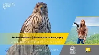 Denisse Navarro Wildlife / La naturaleza al alcance de su lente