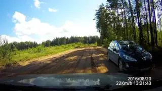 Два  московских дебила... грибочки собрать решили...