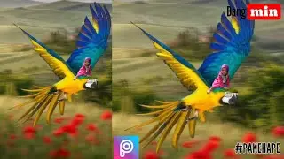 Fly _manipulasi_ picsart