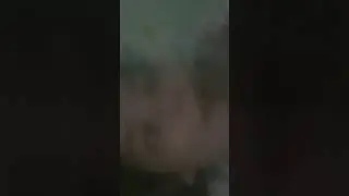 10 de fevereiro de 2024