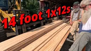 One nice 14 foot white pine log # 901