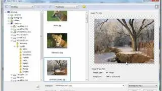 Importing Artwork into VinylMaster inc. PDF and Postscript Level 3